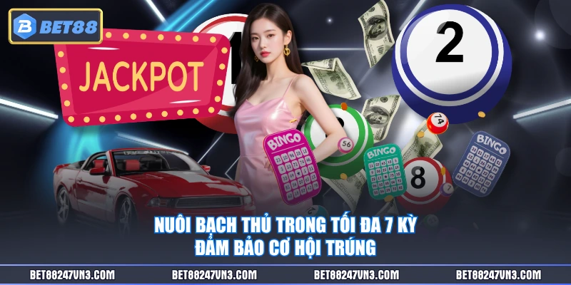 Nuôi bạch thủ trong tối đa 7 kỳ đảm bảo cơ hội trúng
